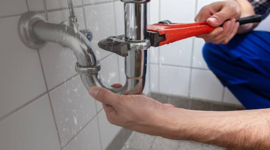 Professional Leak Detection services in Lacota, MI